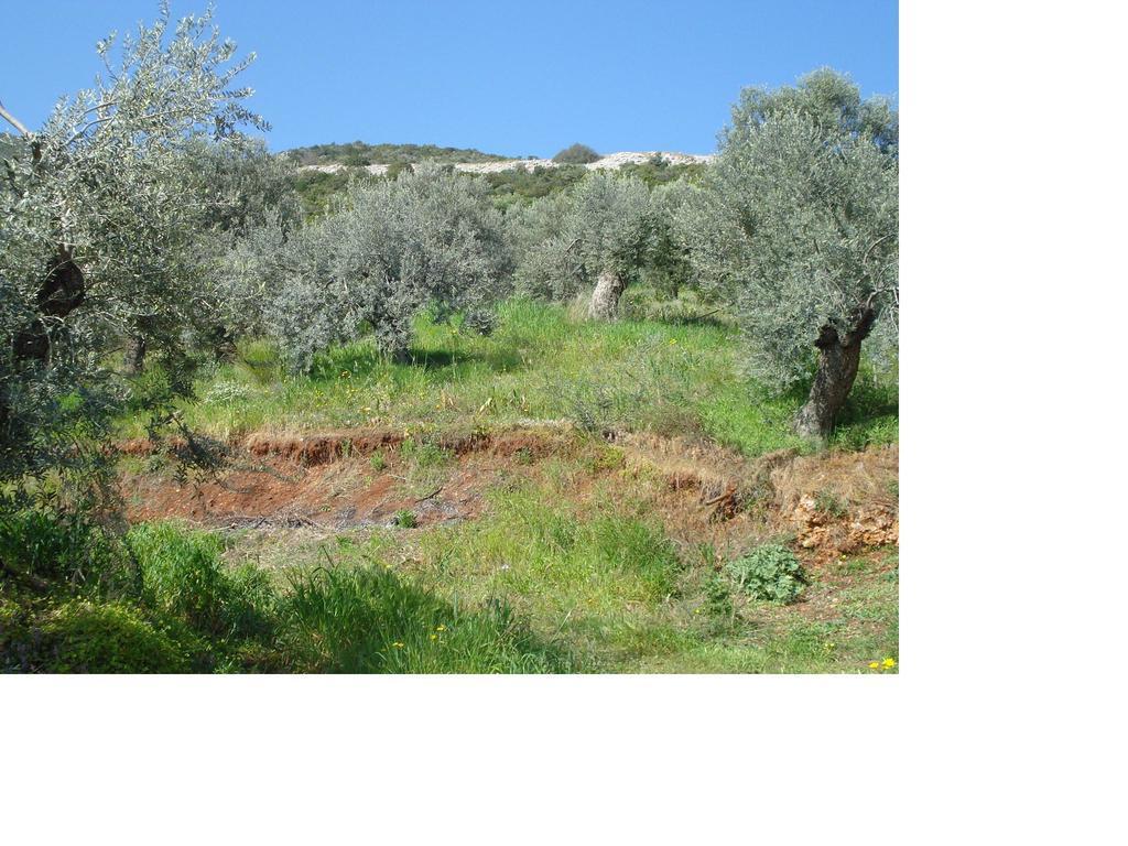 Athina Ecofarm Apartment Epidaurus Exterior photo